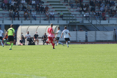 DSC08690_sm