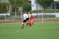 DSC08552_smaller